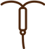 IUD