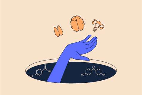 How Hormones Pass from the Environment to Our Bodies