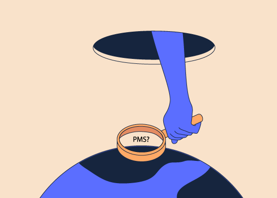  PMS experience