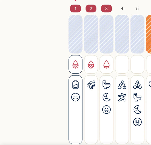 Du startest mit einem neuen Zyklus